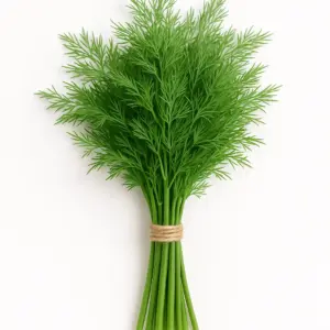 Dill Frischer Bund 50g